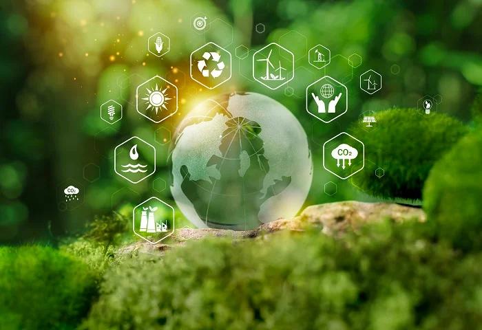 Urban Planning & Policy Making